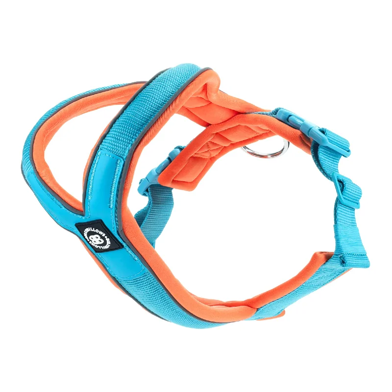 Slip on Harness | Foam Padded - Light Blue x Orange