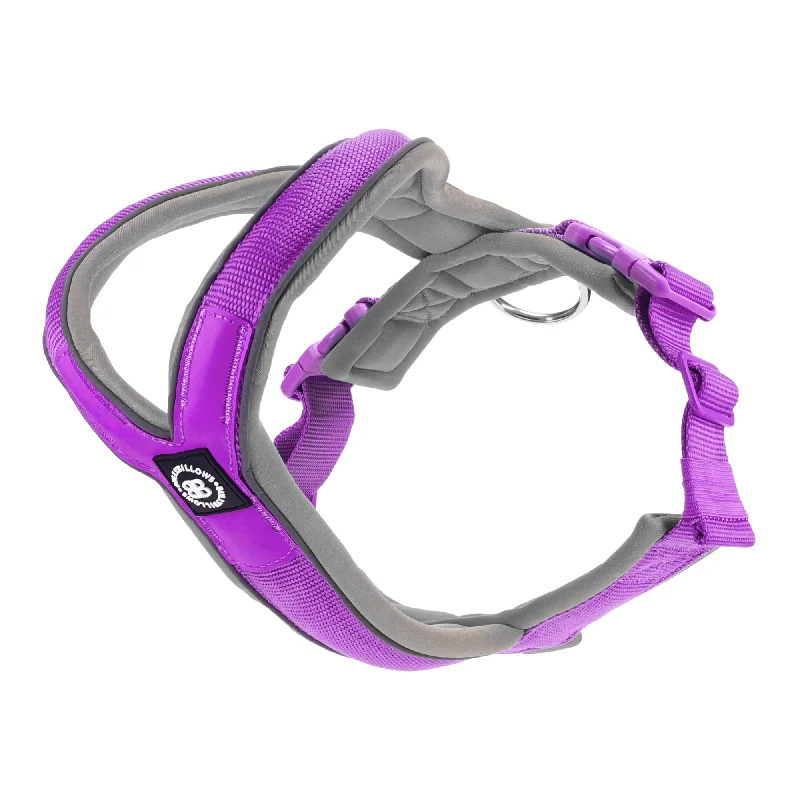 Slip on Harness | Foam Padded - Purple x Metal Grey