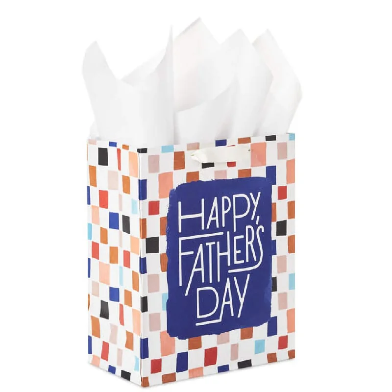 Hallmark : 9.6" Colorful Checkerboard Medium Father's Day Gift Bag With Tissue Paper