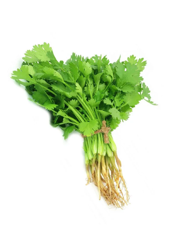 CORIANDER (DAUN KETUMBAR) +/-150G