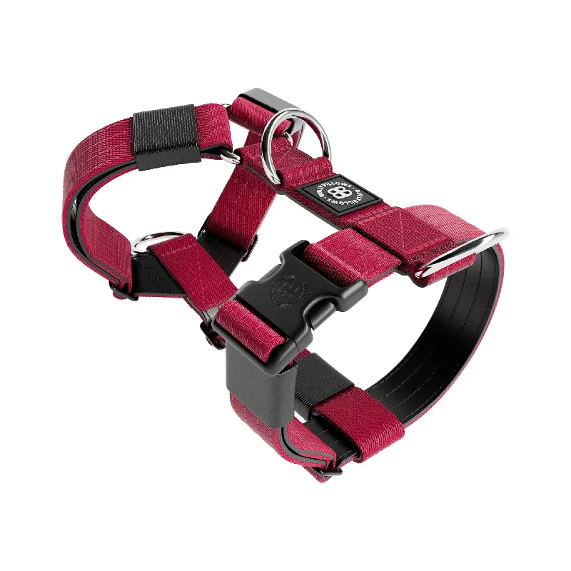 Training Anti Pull TRI-Harness® | M-XL Breeds - Burgundy