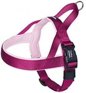 80531-64 NOBBY NORWEGIAN Harness "Classic Preno" rasberry/pink L: 38-50 cm + 36 cm; W: 20/25 mm