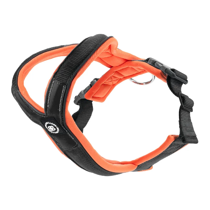 Slip on Harness | Foam Padded - Black x Orange