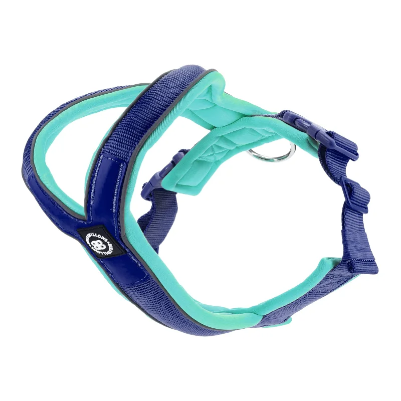 Slip on Harness | Foam Padded - Blue & Turquoise