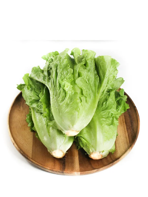 CHINESE LETTUCE (SALAD KING) (+/-250G)